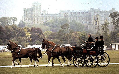 Royal Windsor Horse Show